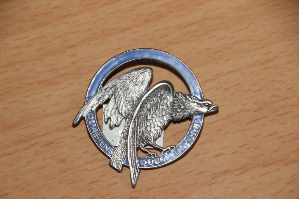 Borsthanger van de ABL luchtmacht: 54e eskader, Verzenden, Luchtmacht, Embleem of Badge
