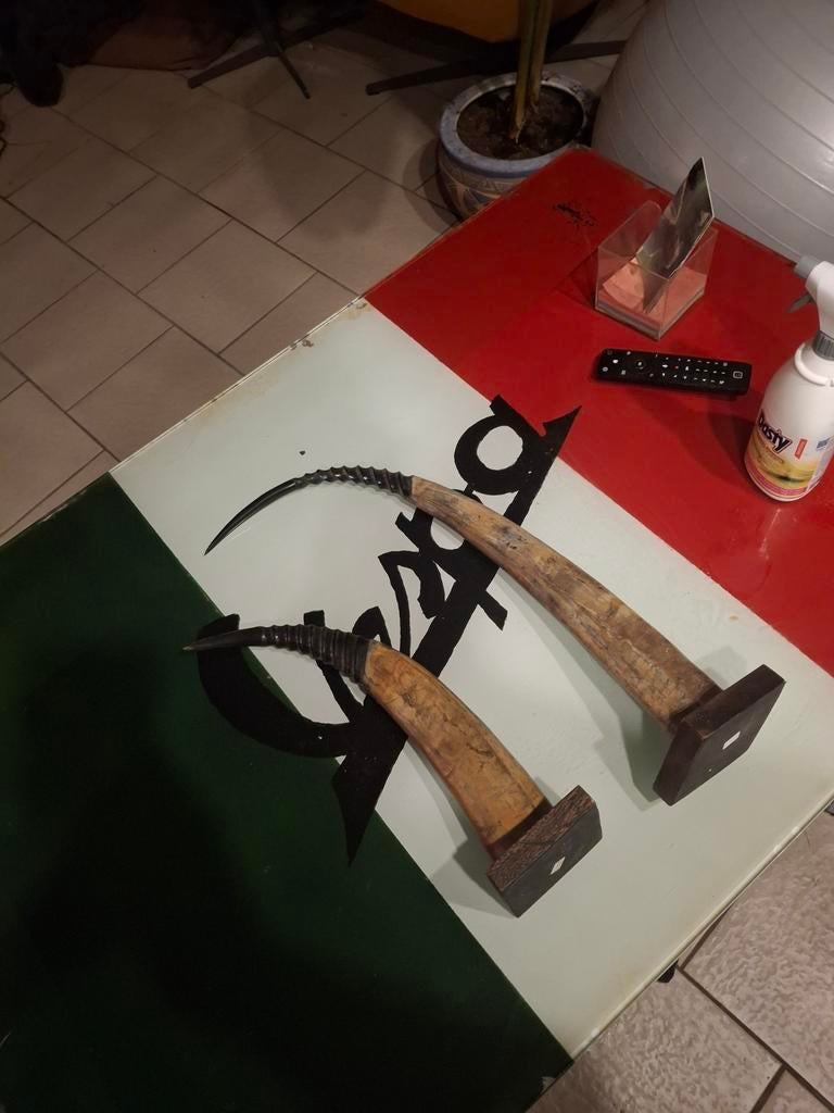 2 waterbuffels horns op houten voet 40cm  en 53 cm, Huis en Inrichting, Woonaccessoires | Overige, Ophalen, Zo goed als nieuw