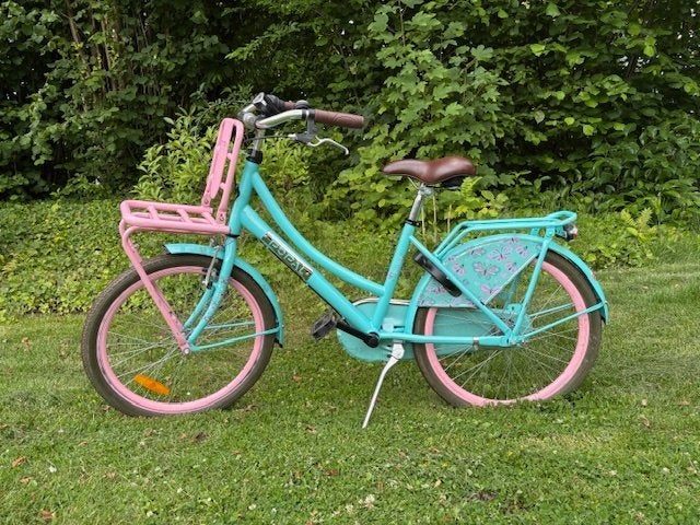 kinderfiets, Ophalen, Terugtraprem, 22 inch, Versnellingen