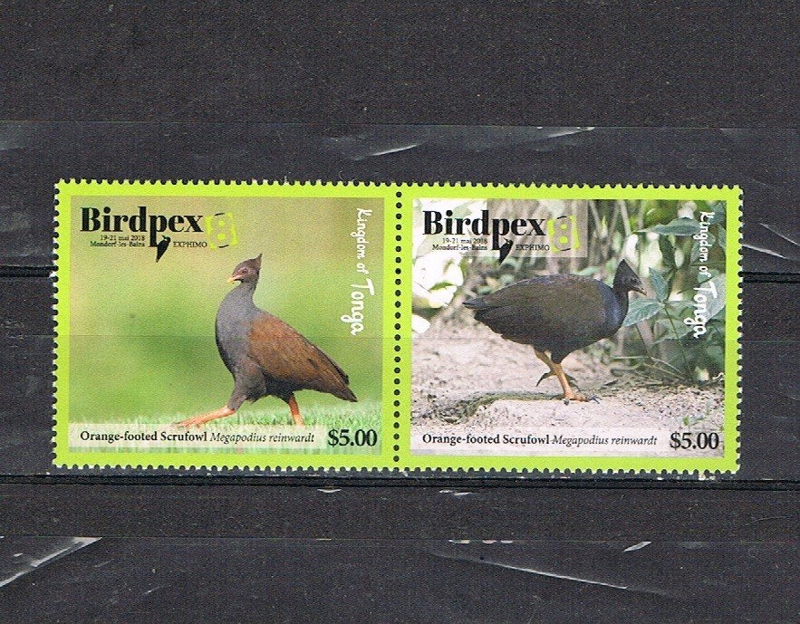 TONGA : VOGELS-BIRDPEX-REEKS POSTFRIS, Ophalen of Verzenden