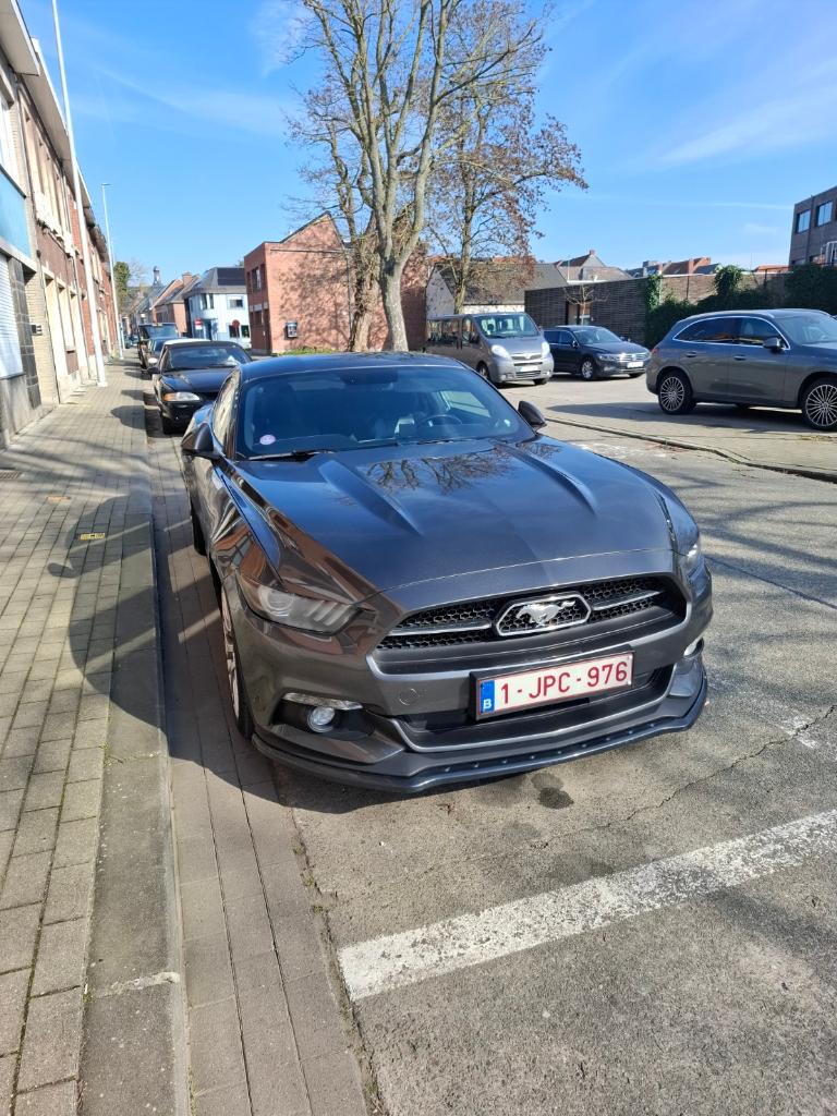 Ford Mustang Ecoboost, Auto's, 4 zetels, Achterwielaandrijving, 4 cilinders, 233 kW