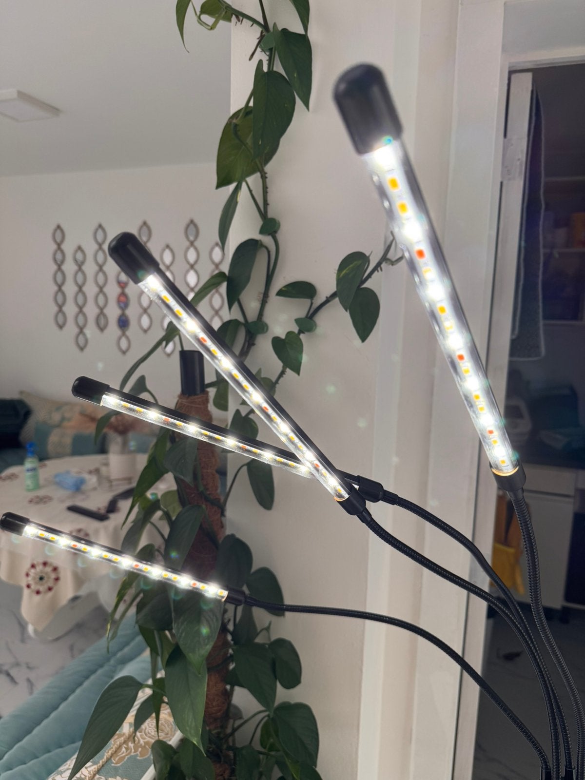 Plantenlamp te koop, Enlèvement, Comme neuf