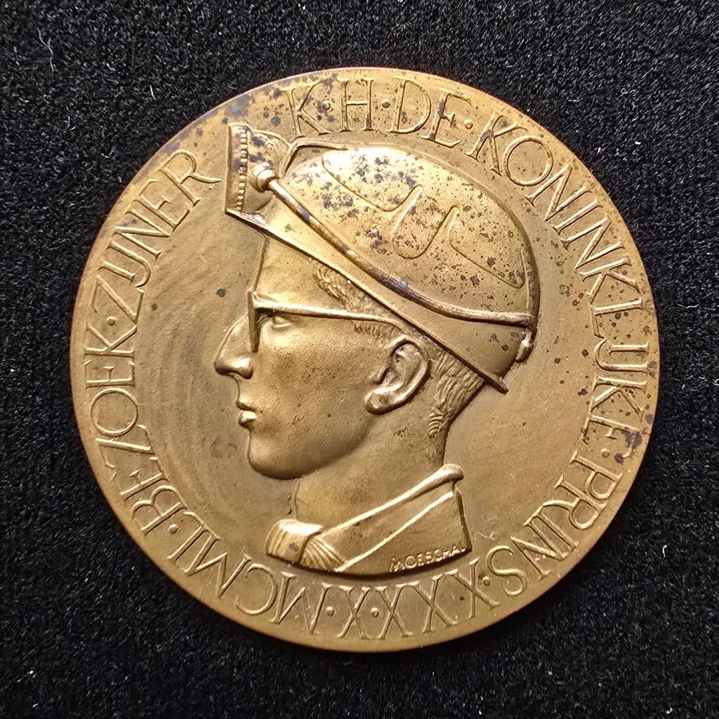 Médaille Baudouin Moeschal 1950 charbon Beringen Belgique, Enlèvement ou Envoi, Bronze