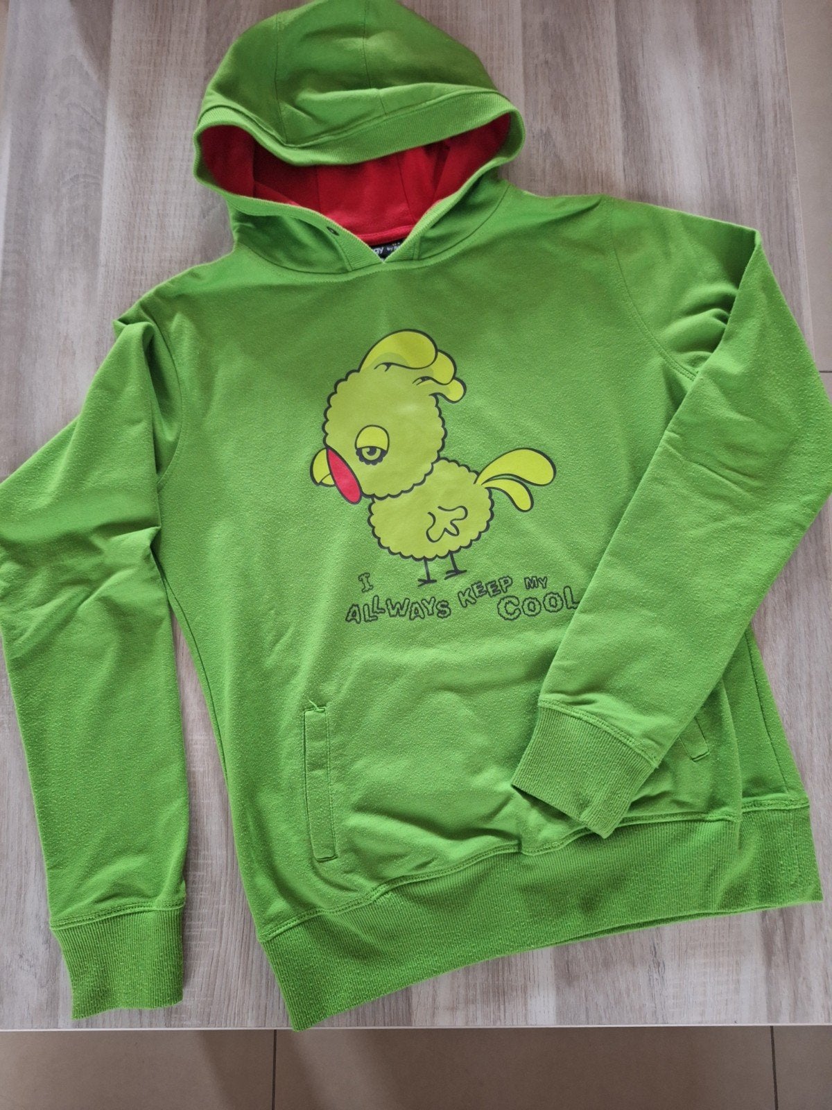 Hoodie maat 170/176, Kinderen en Baby's, Kinderkleding | Maat 170, Ophalen, Jongen of Meisje, Trui of Vest
