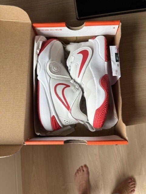 Basketschoenen nieuw Nike maat 28,5, Kinderen en Baby's, Kinderkleding | Schoenen en Sokken, Ophalen, NIKE, Nieuw, Jongen of Meisje