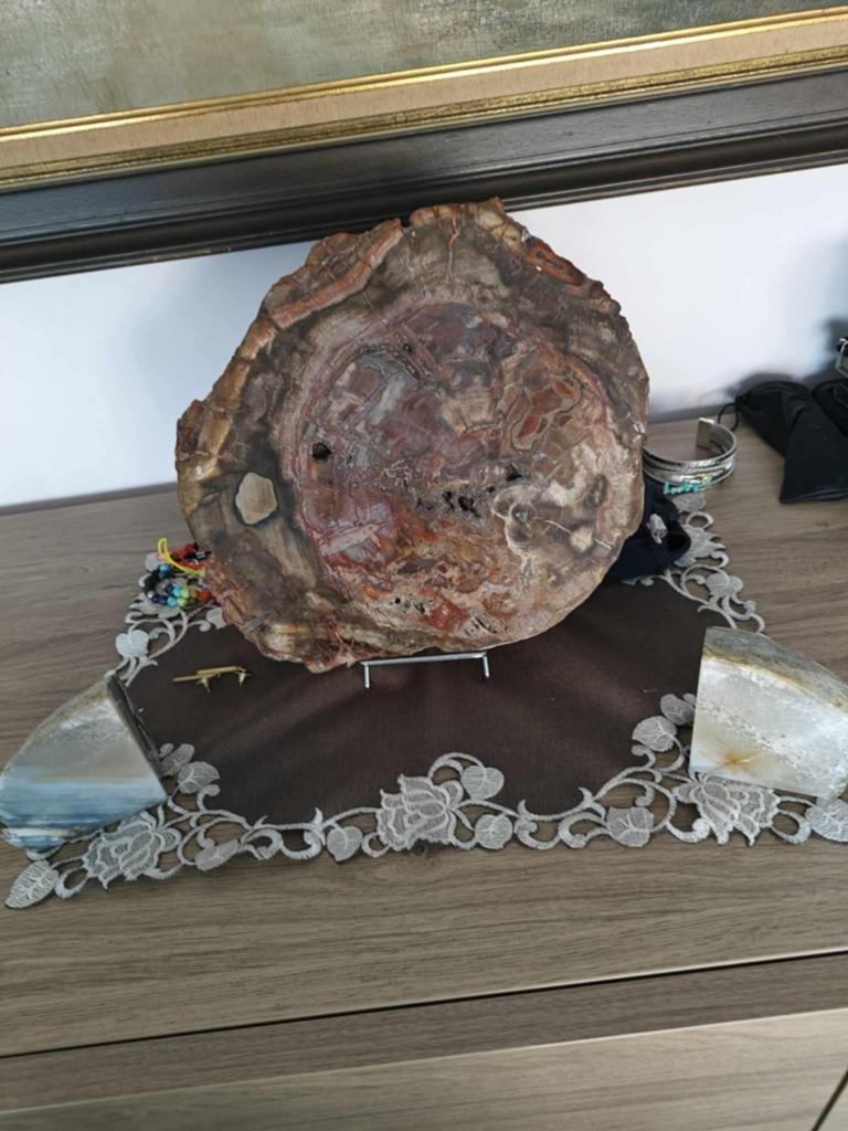 Versteend hout, Ophalen