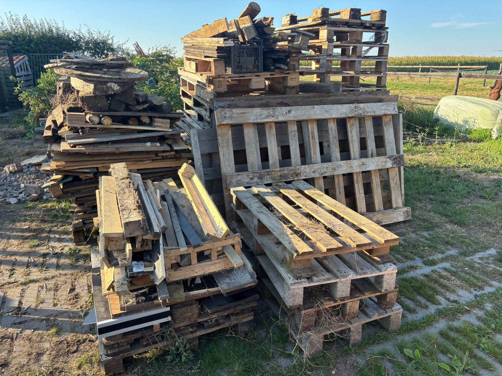 Brandhout, Enlèvement