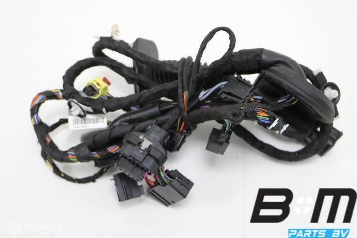 Portierkabelboom rechtsvoor Audi S3 8V FL 8V4971030K, Utilisé