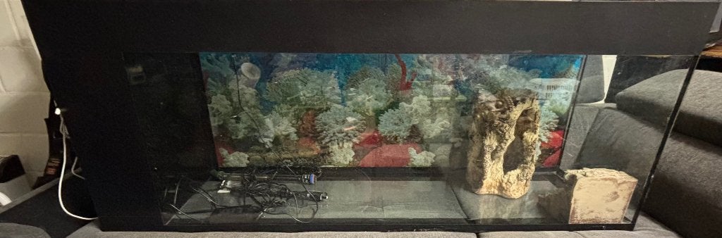 Aquarium te koop, Ophalen, Gebruikt, Overige merken, Inclusief deksel