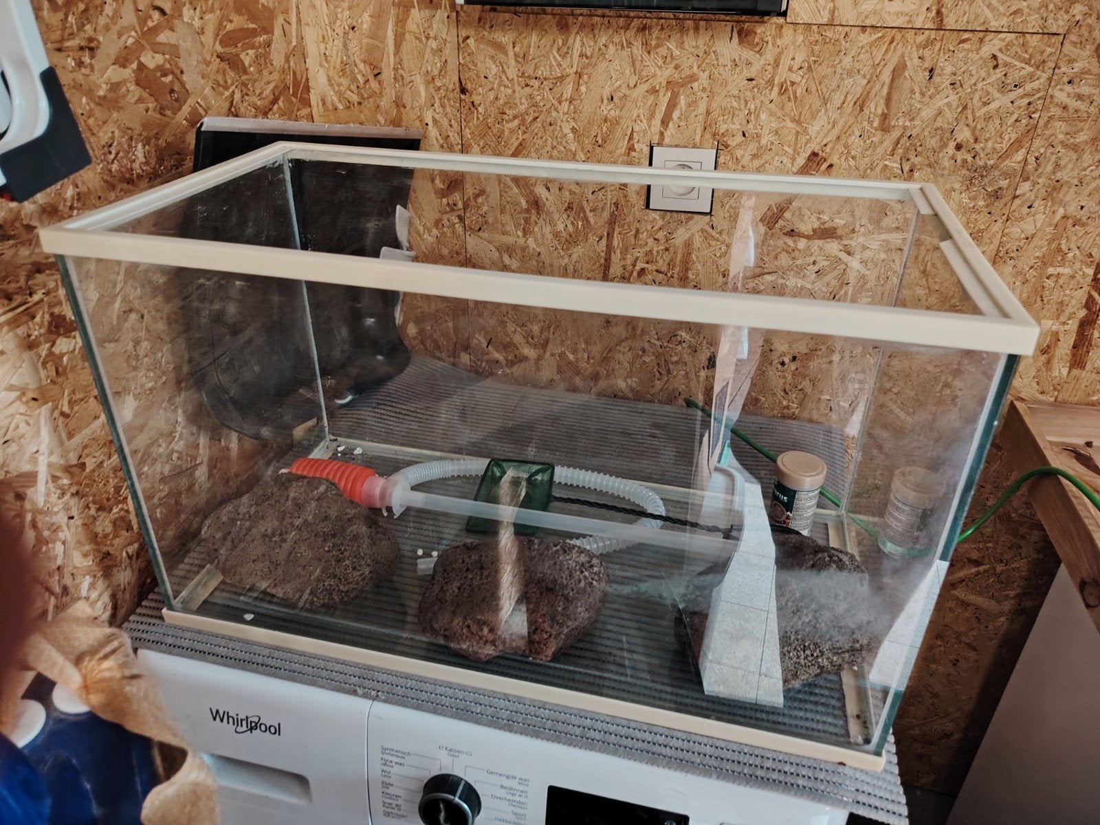 aquarium, Enlèvement