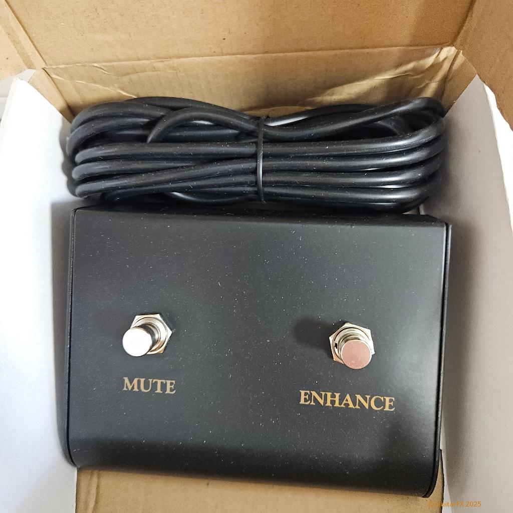 EDEN PEDL-70001 Mute / Enhance zonder LED 2 schakelaar foots, Muziek en Instrumenten, Ophalen of Verzenden, Gebruikt