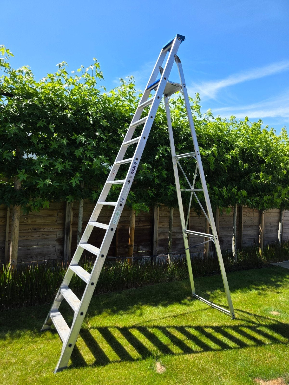 Gekeurde Asc 12 trappen ladder 3 m, Ophalen