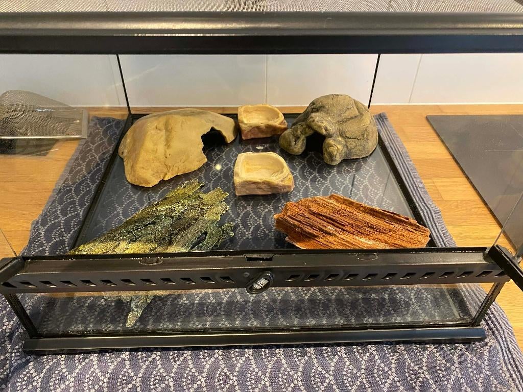EXO-TERRA volledige set voor reptielen, Dieren en Toebehoren, Ophalen, Gebruikt, Terrarium of Paludarium