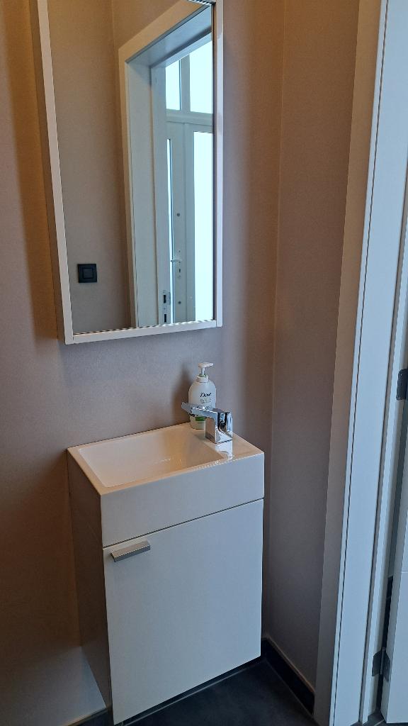 Toilet meubel, Ophalen, Zo goed als nieuw, Minder dan 50 cm, Minder dan 100 cm