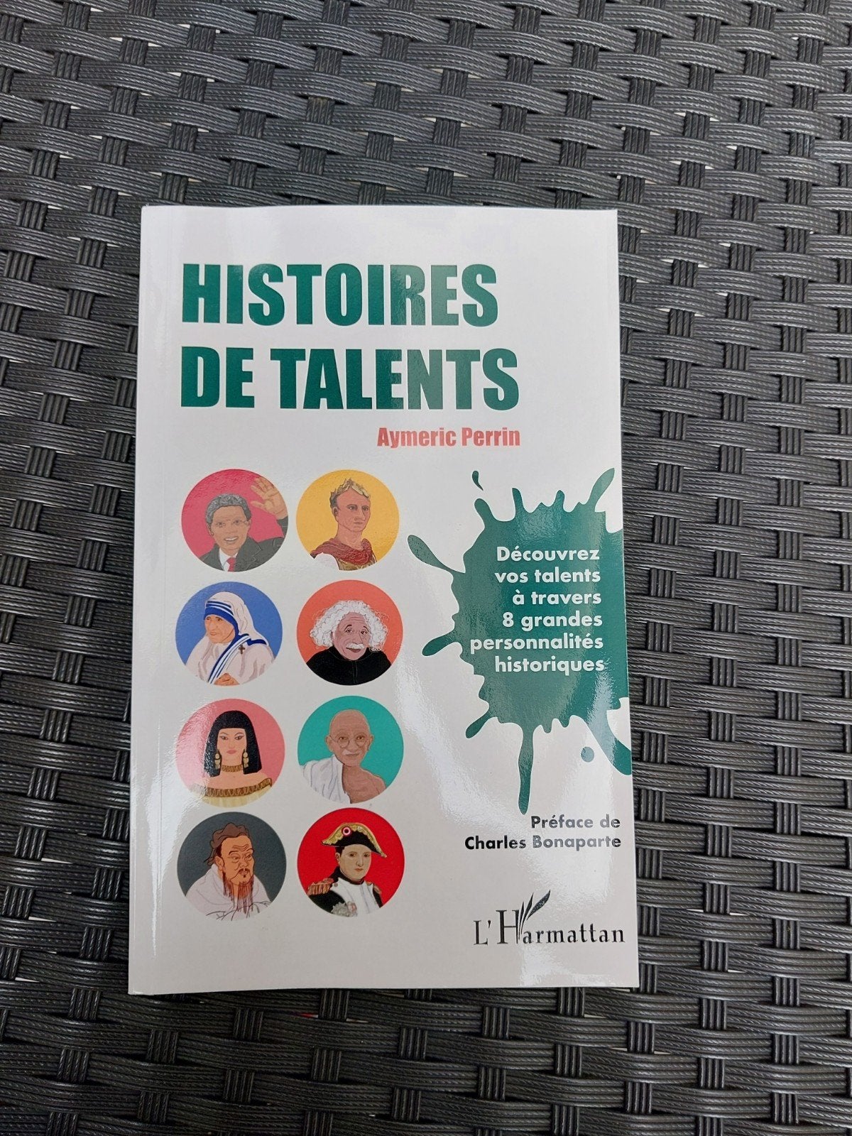 Livre : Histoires de Talents – Aymeric Perrin, Livres, Psychologie, Neuf, Aymeric Perrin, Psychologie du développement, Enlèvement