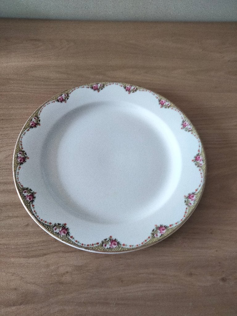 Vintage Maastrichts aardewerk dinerbord, Ophalen