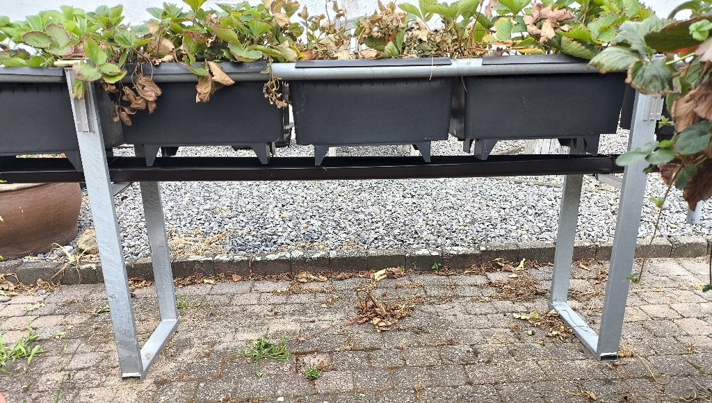 Twee rekken voor planten bakken ,speciaal voor aardbeien, Ophalen, Gebruikt, Metaal