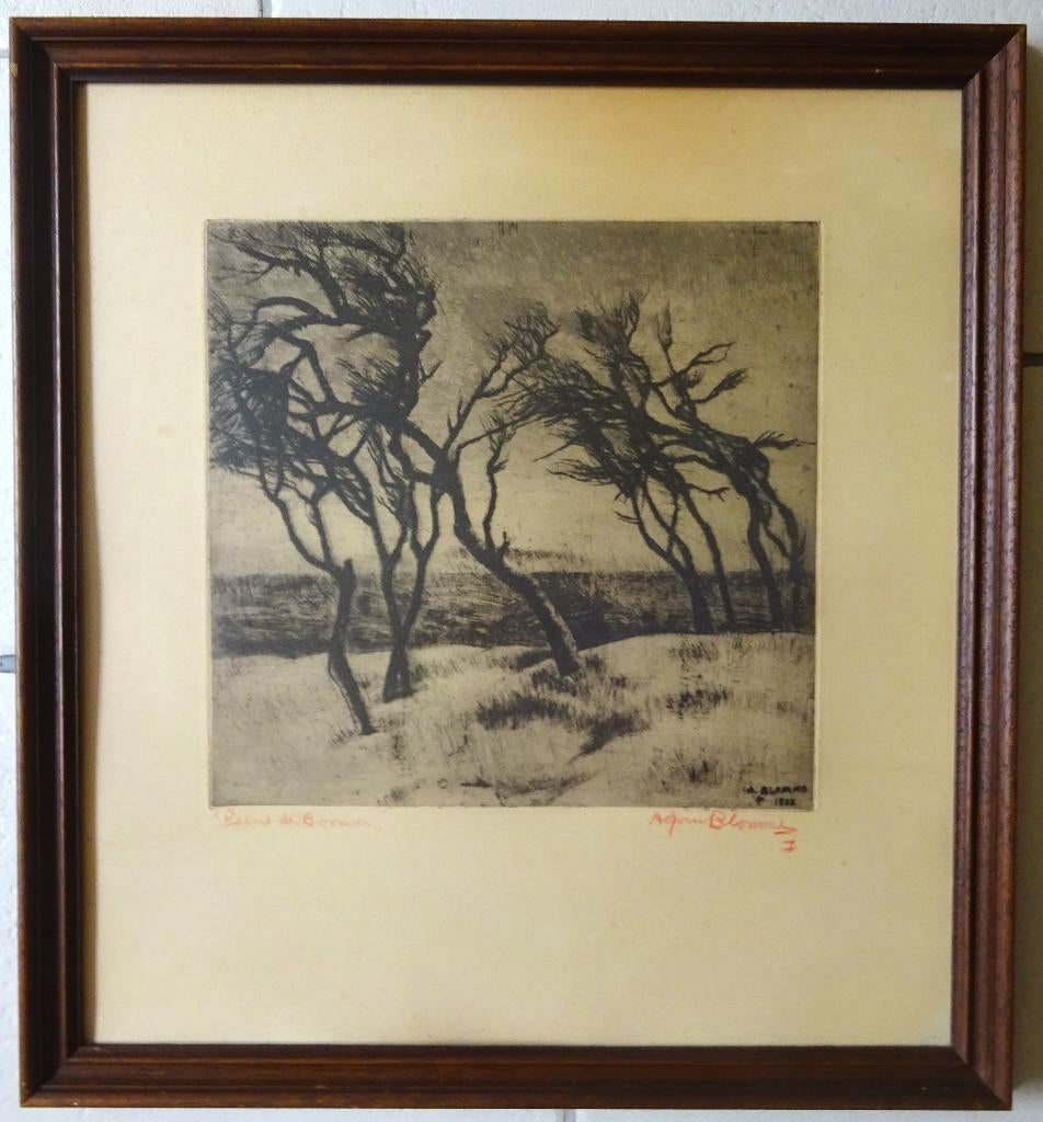 Alfons Blomme, ets, Bomen, 30 x 30 cm, Eau-forte, Signé, 30 cm, Enlèvement ou Envoi