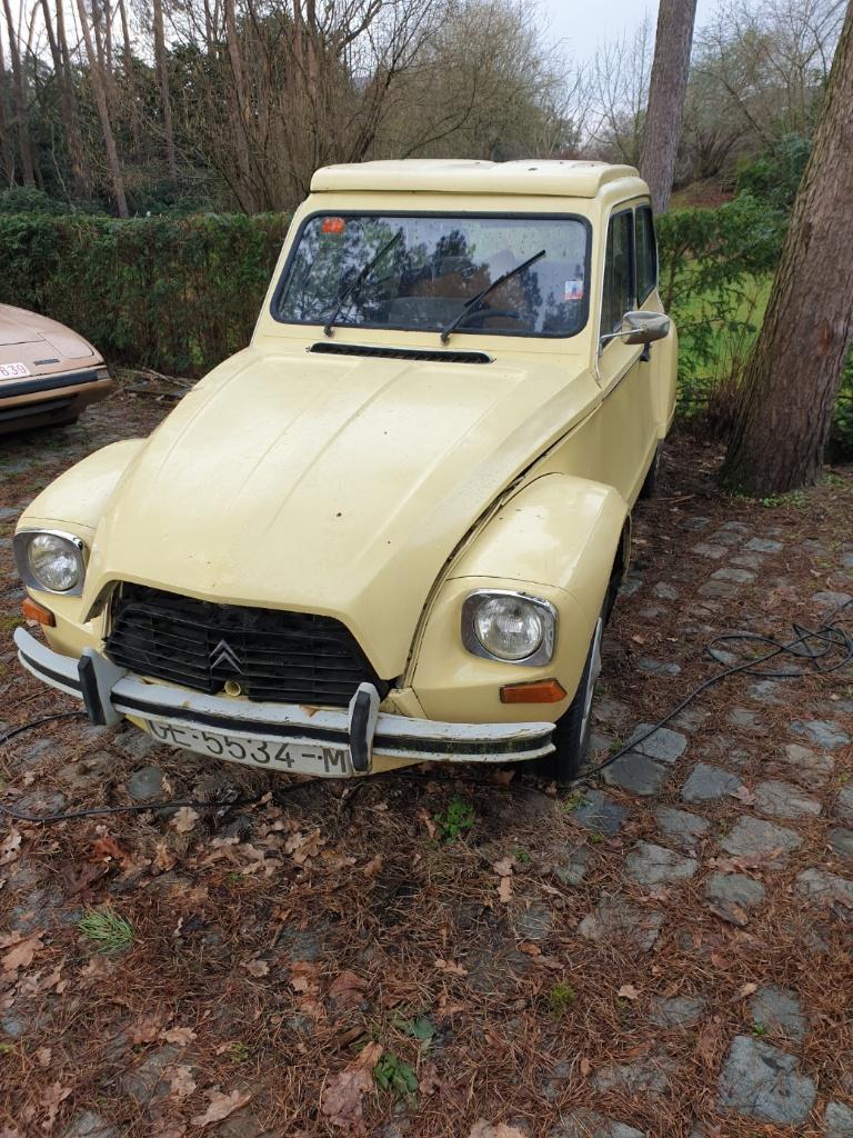 Citroën Dyane 1980, Auto's, Citroën, Particulier, Overige modellen, Benzine, Berline, 5 deurs, Handgeschakeld, Geel, Zwart, Kunstmatig leder