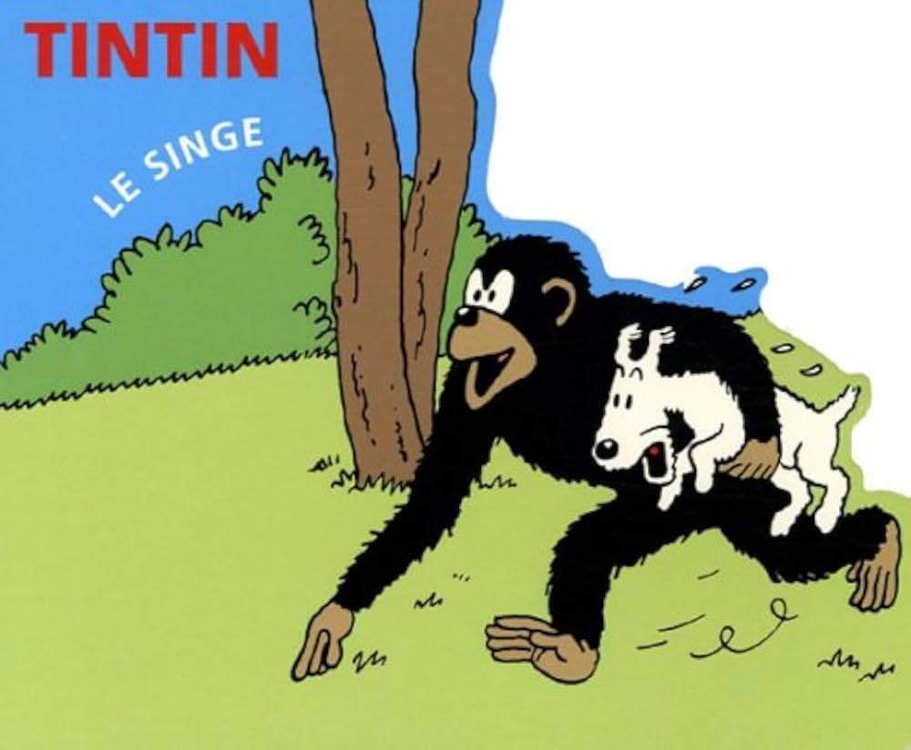 Tintin - Le singe (H.S - 2005)., Enlèvement ou Envoi, Comme neuf, Hergé, 2 à 3 ans