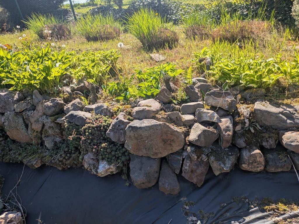 Vijver stenen, Tuin en Terras, Ophalen