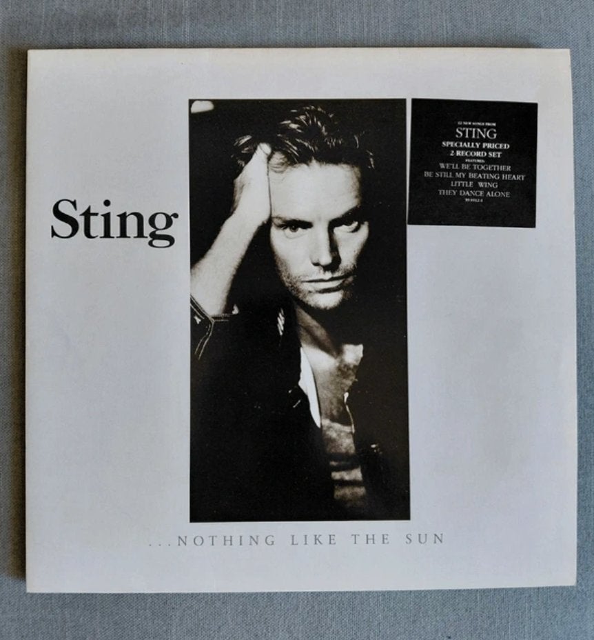 Vinyle Sting – Nothing Like The Sun – Double LP 1987, CD & DVD, Vinyles | Autres Vinyles, 12 pouces, Enlèvement ou Envoi, 1980 - 1989