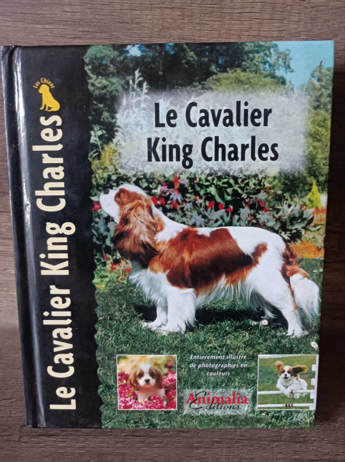 le cavalier king Charles, Ophalen of Verzenden