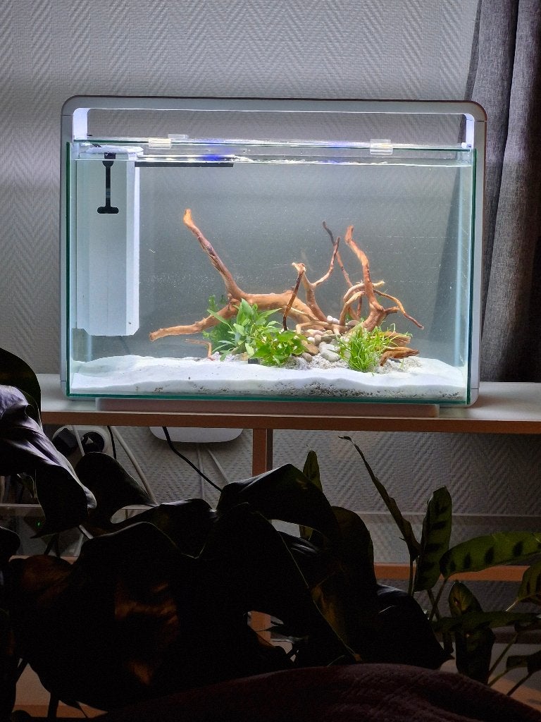 Aquarium met kast superfish, Ophalen, Inclusief controller, Zo goed als nieuw, Superfish