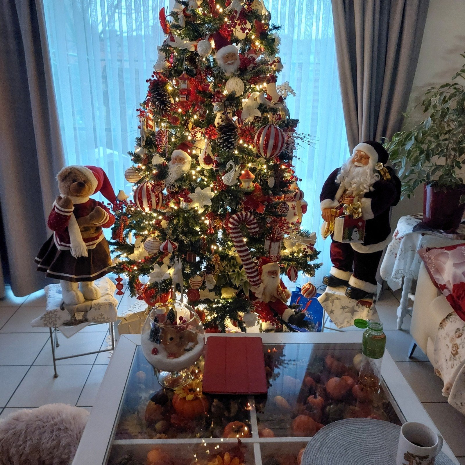 kerstboom, Enlèvement ou Envoi