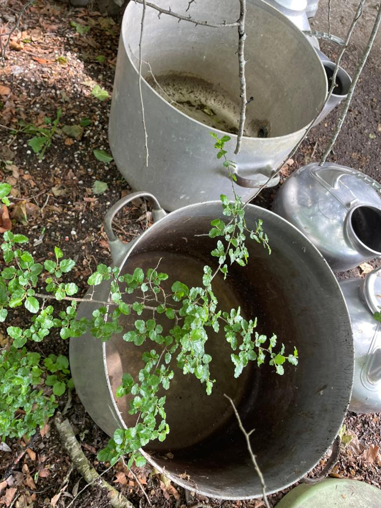Grote melkkannen, Tuin en Terras, Ophalen, Gebruikt
