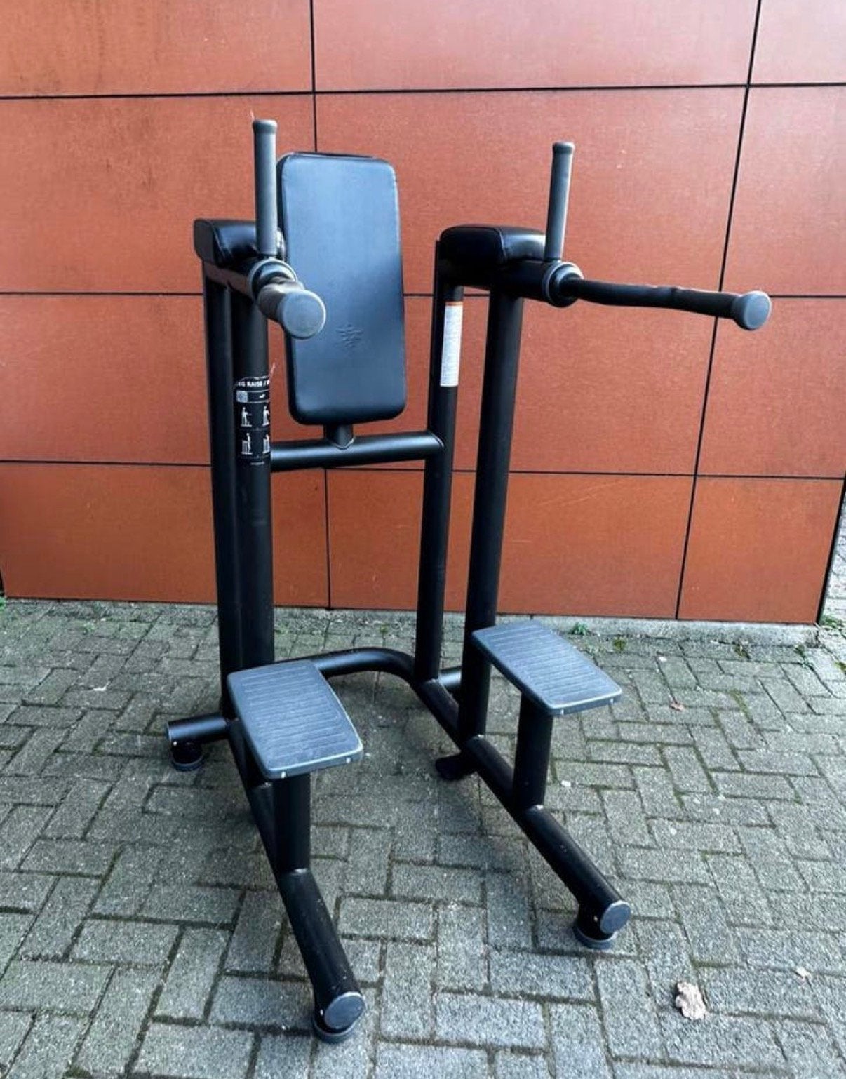 Technogym Leg Raise / Dip Station, Sport en Fitness, Fitnessmaterialen, Ophalen, Gebruikt