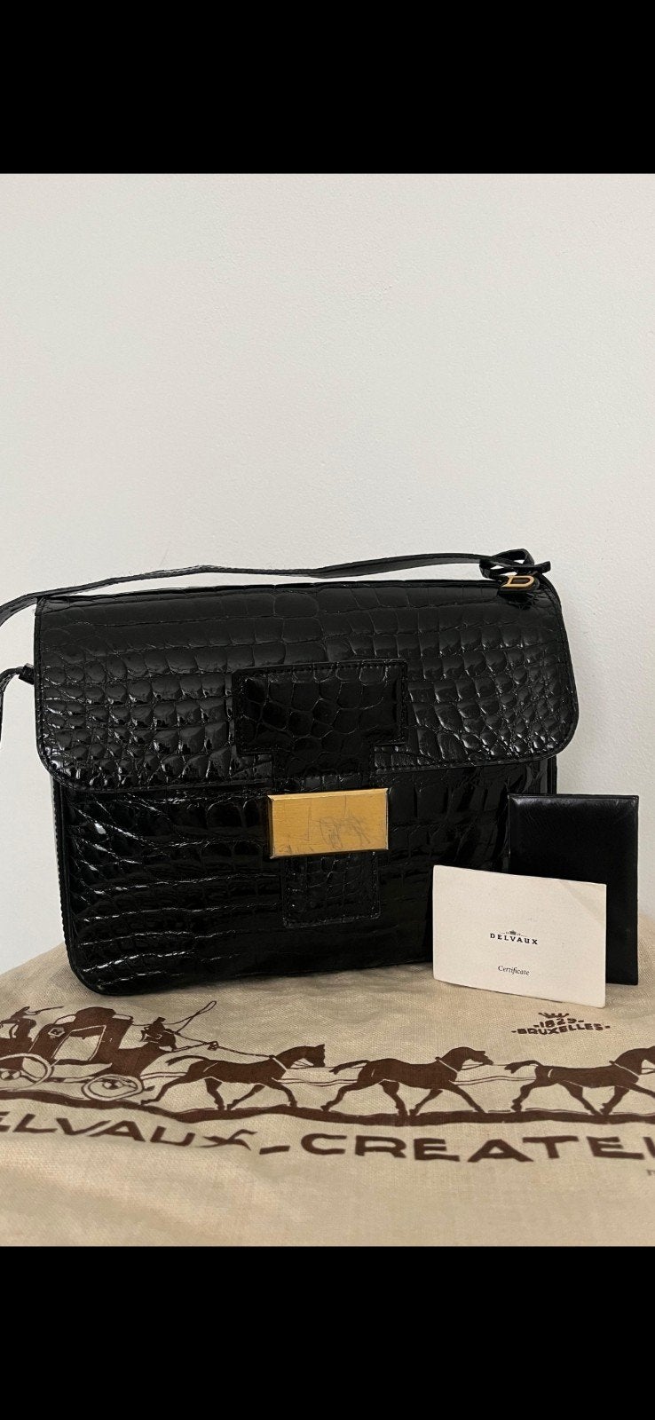 Sac Delvaux croco, Bijoux, Sacs & Beauté, Sacs | Sacs Femme