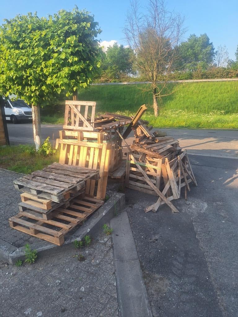 Gratis brandhout, Ophalen of Verzenden