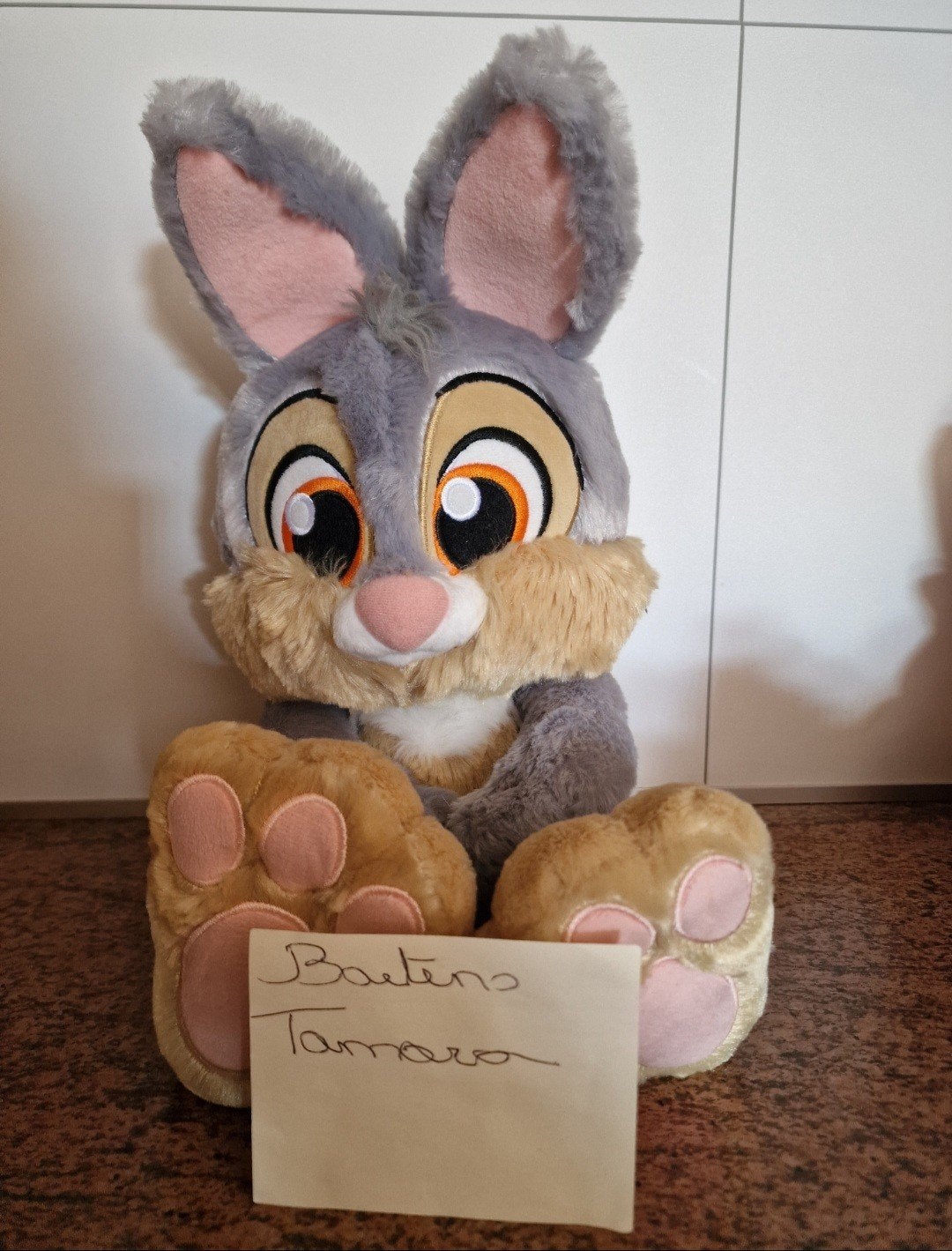 Disney knuffel, Verzamelen, Disney, Ophalen, Knuffel