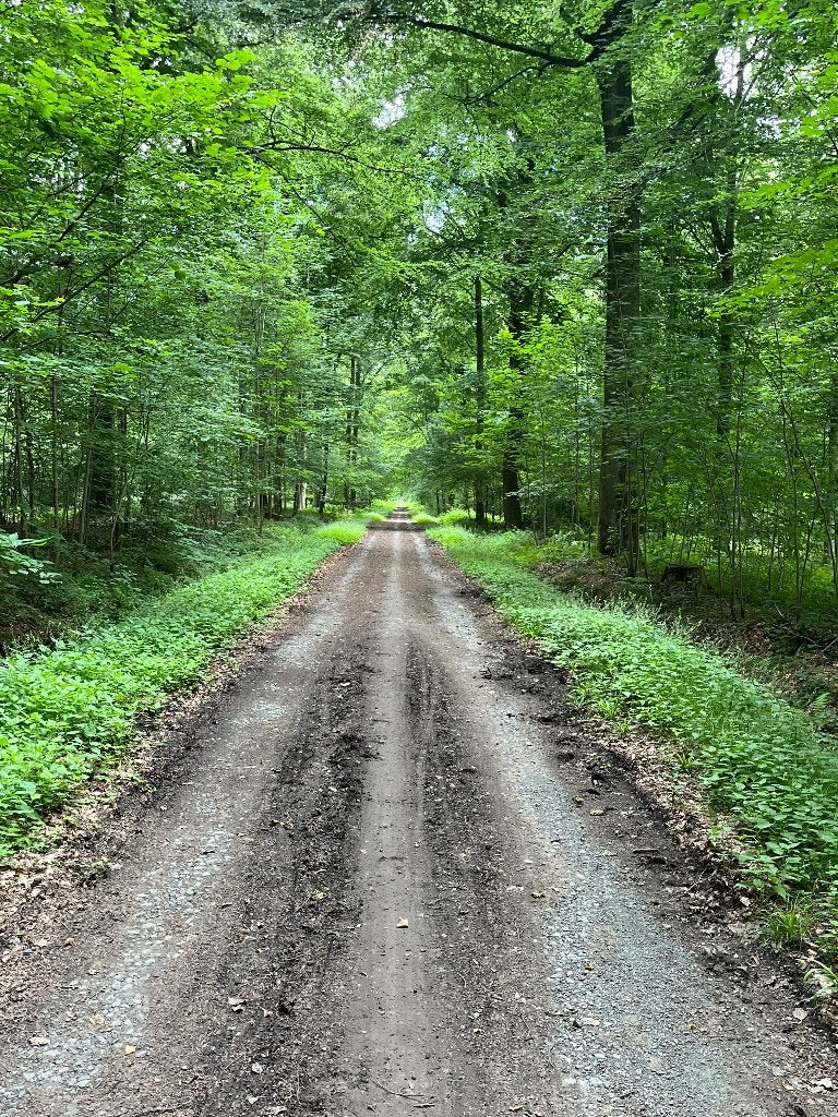 Vaste fiets- wandelvriendin