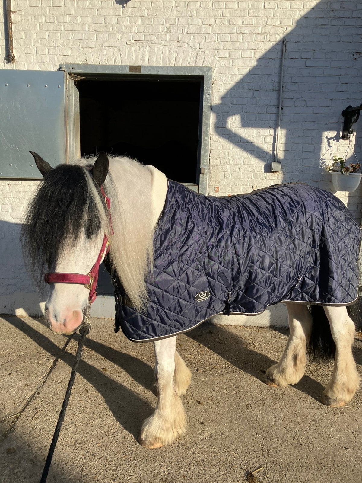 Horsegear staldeken 150gr, Dieren en Toebehoren, Horsegear, Ophalen of Verzenden, Zo goed als nieuw, Blauw