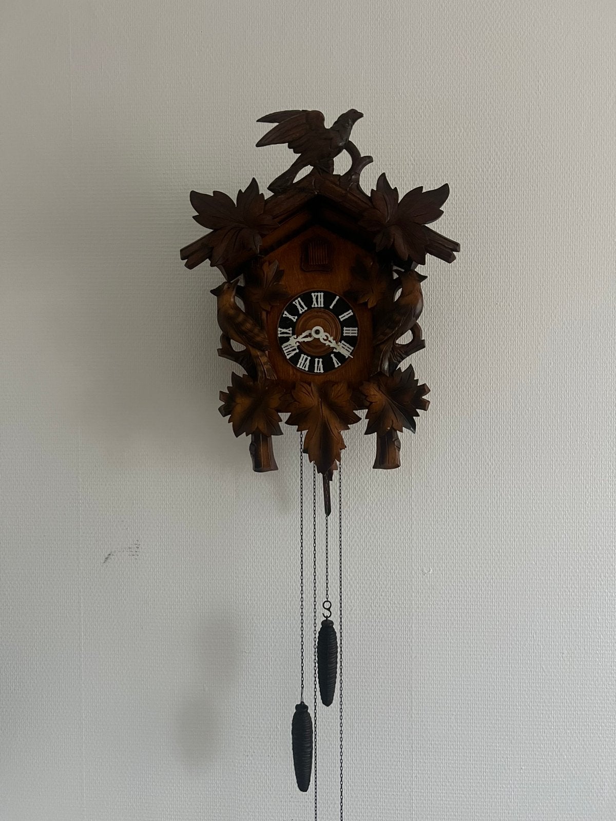 Koekoeksklok, Ophalen of Verzenden