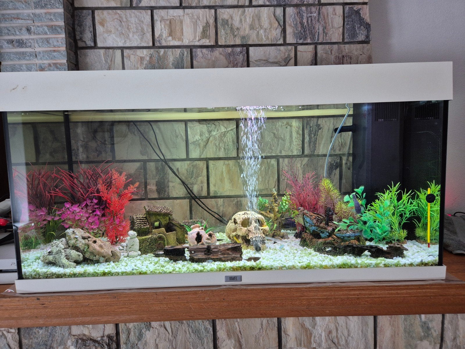 Te koop aquarium en bodemzuigers, Dieren en Toebehoren
