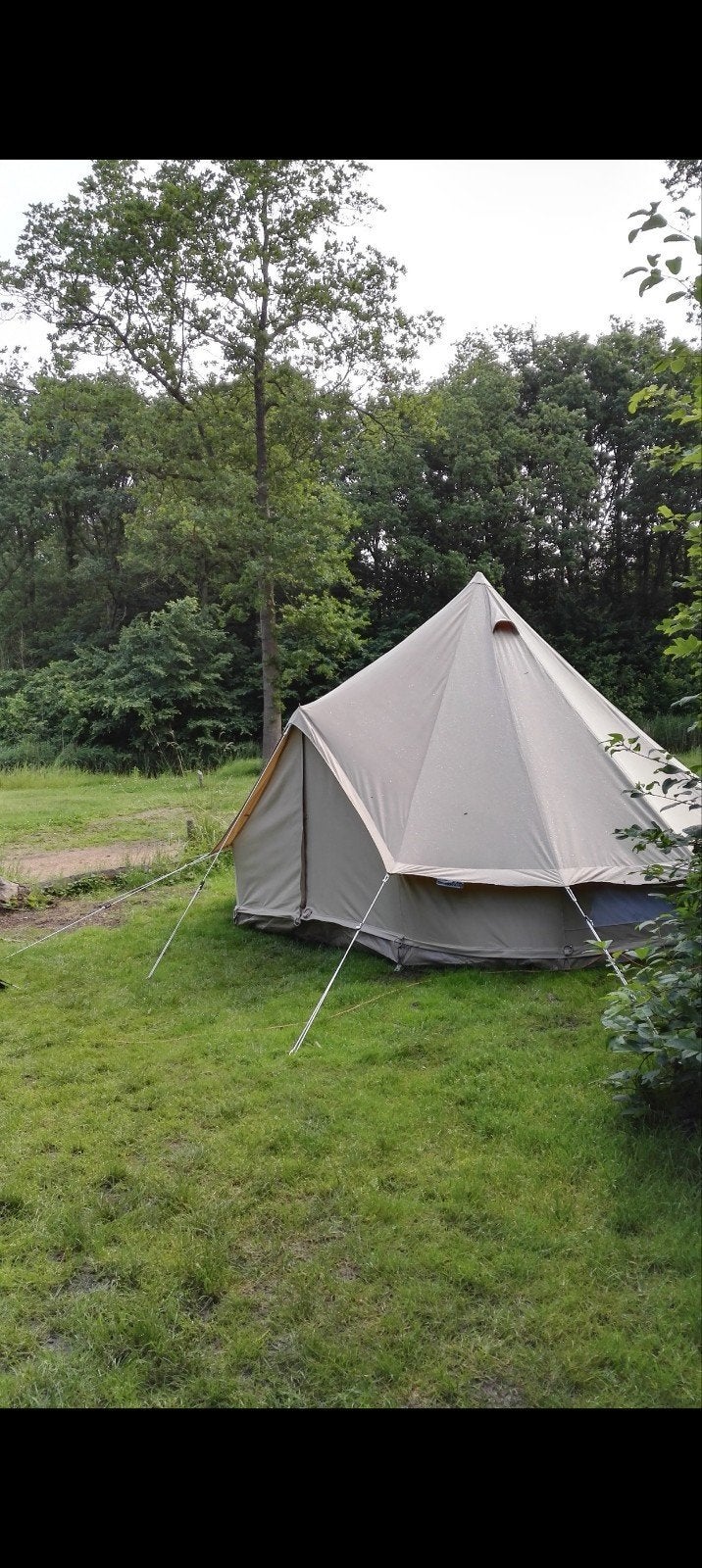 sibley ultimate pro 400 bell tent van canvascamp, Enlèvement