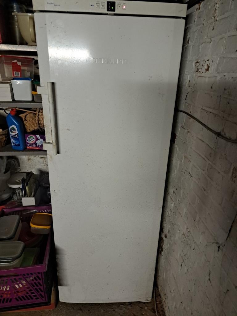 Congélateur Liebherr, 120 à 140 cm, Enlèvement, Utilisé, 60 à 90 cm