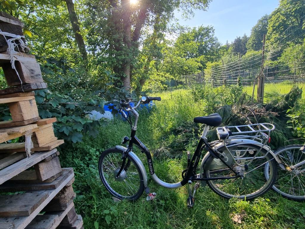 Vélo électrique sans batterie, Enlèvement