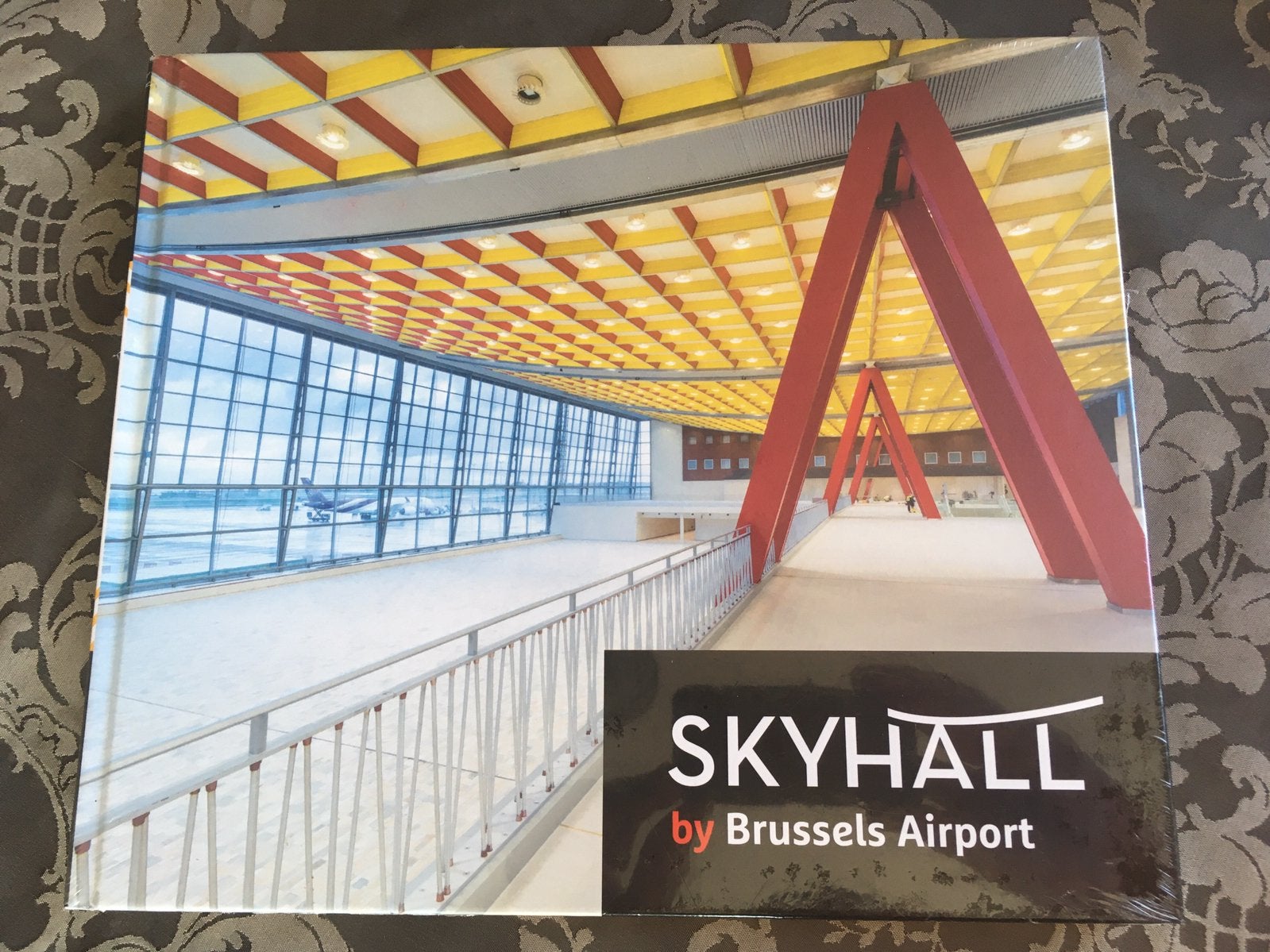 Skyhall près de l'aéroport de Bruxelles, Livres, Enlèvement ou Envoi, Neuf