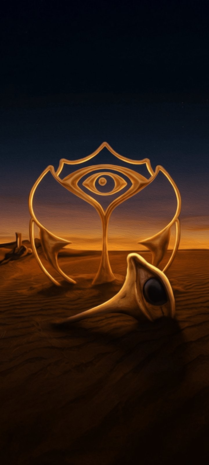 2 tickets pass journée Tomorrowland 2026 (18 juillet), Twee personen