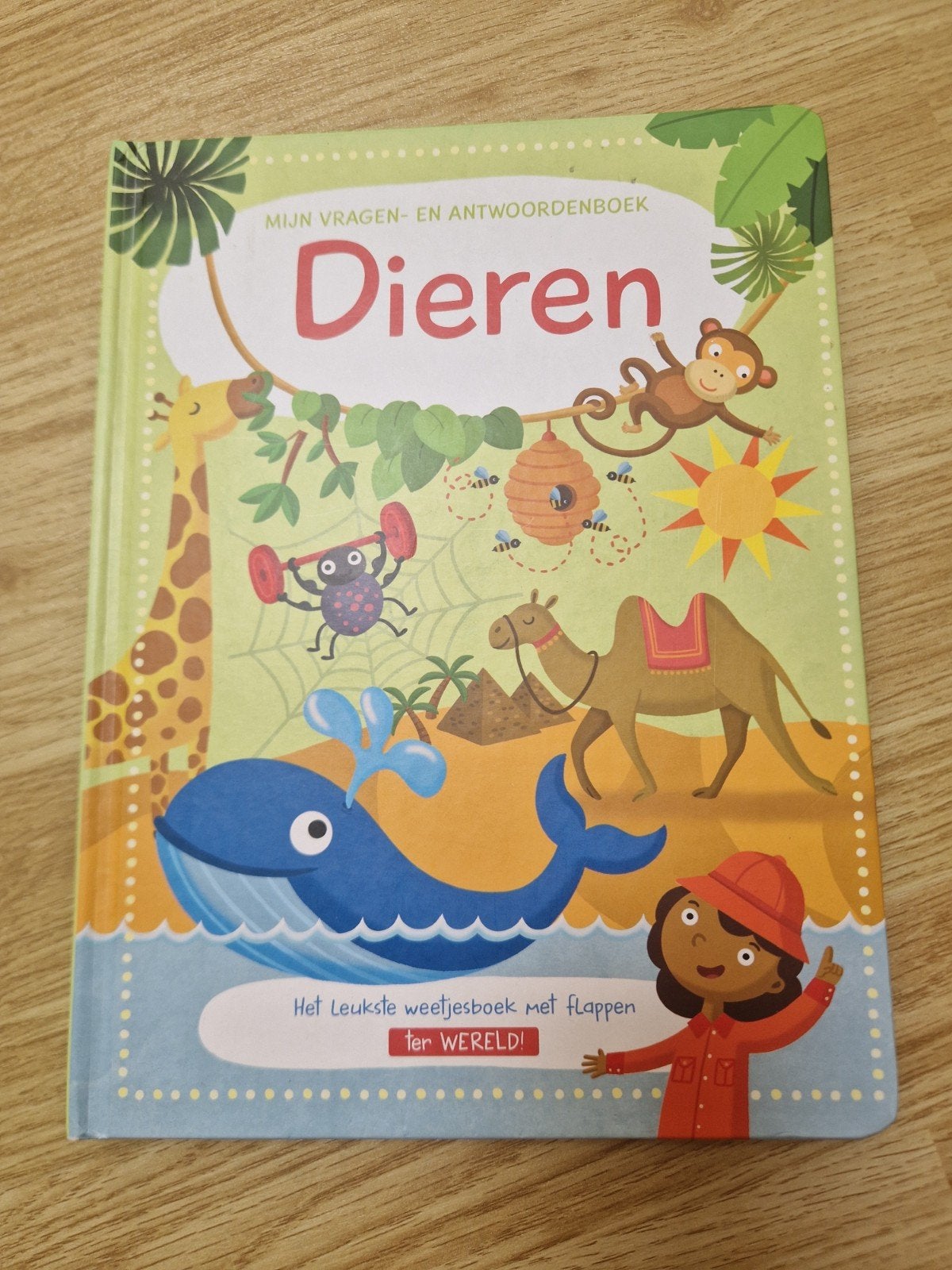 Dieren, Enlèvement ou Envoi