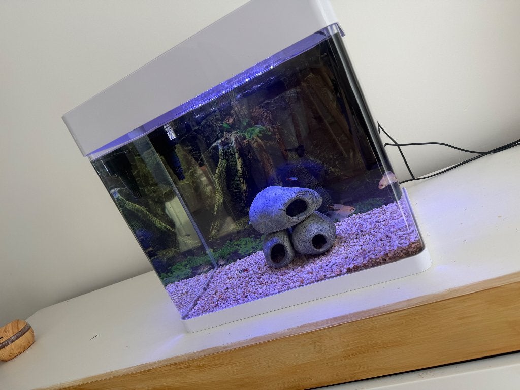 Aquarium, Enlèvement, Chauffage, Comme neuf, Aquarium d'eau douce rempli