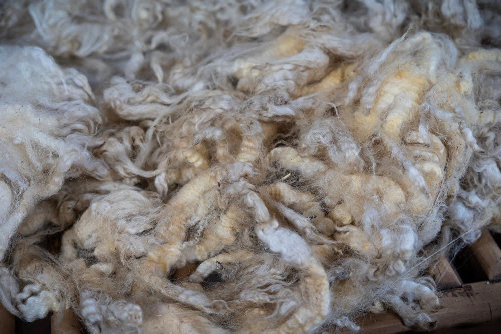 Ruwe ongewassen Wol