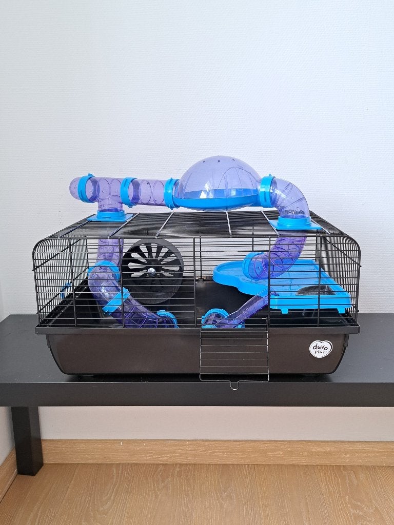 hamster kooi, Minder dan 60 cm, Kooi, Gebruikt, Minder dan 75 cm
