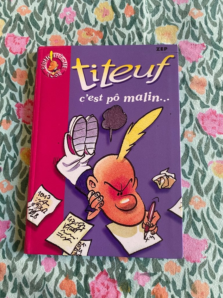 Bibliothèque rose Titeuf tome 4, Livres, BD, Enlèvement ou Envoi, Utilisé