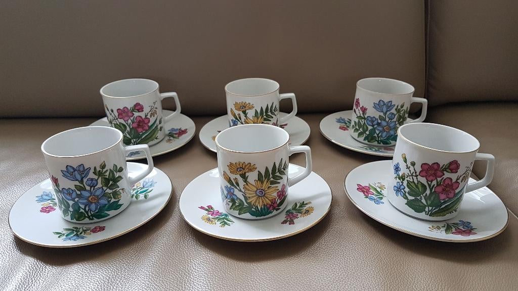 6 prachtige tassen en ondertassen Bavaria Winterling, Ophalen, Nieuw, Porselein, Compleet servies