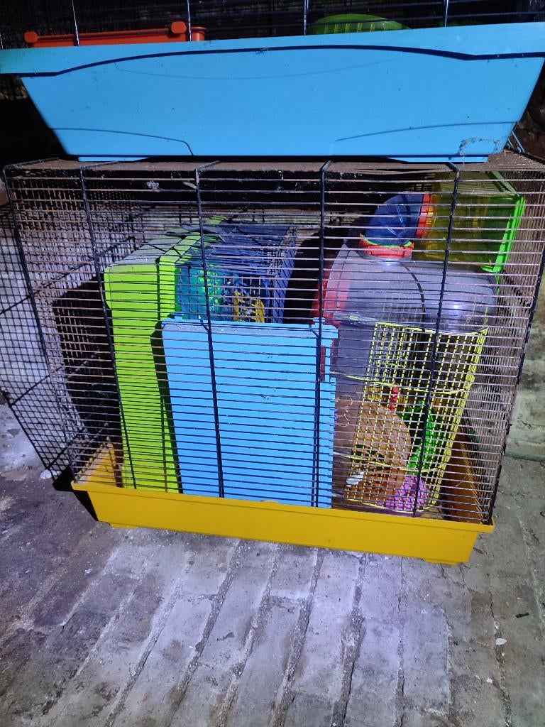Cage hamster, Enlèvement, Comme neuf, Cage, Hamster